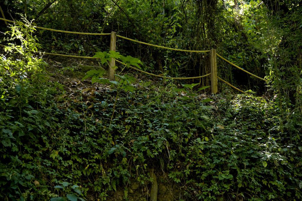 Hotel Rancho San Cayetano Zitácuaro Exteriér fotografie